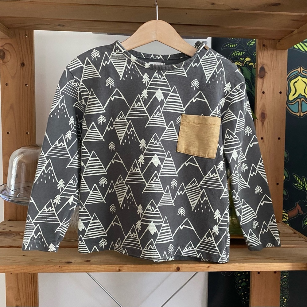 Lali Gray Winter Mountain Print Long Sleeve Shirt - Picture 2 of 13